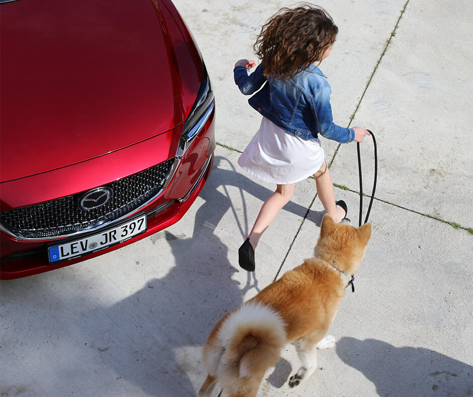 2018 Mazda6 Som Summerseasonal Ig Dog